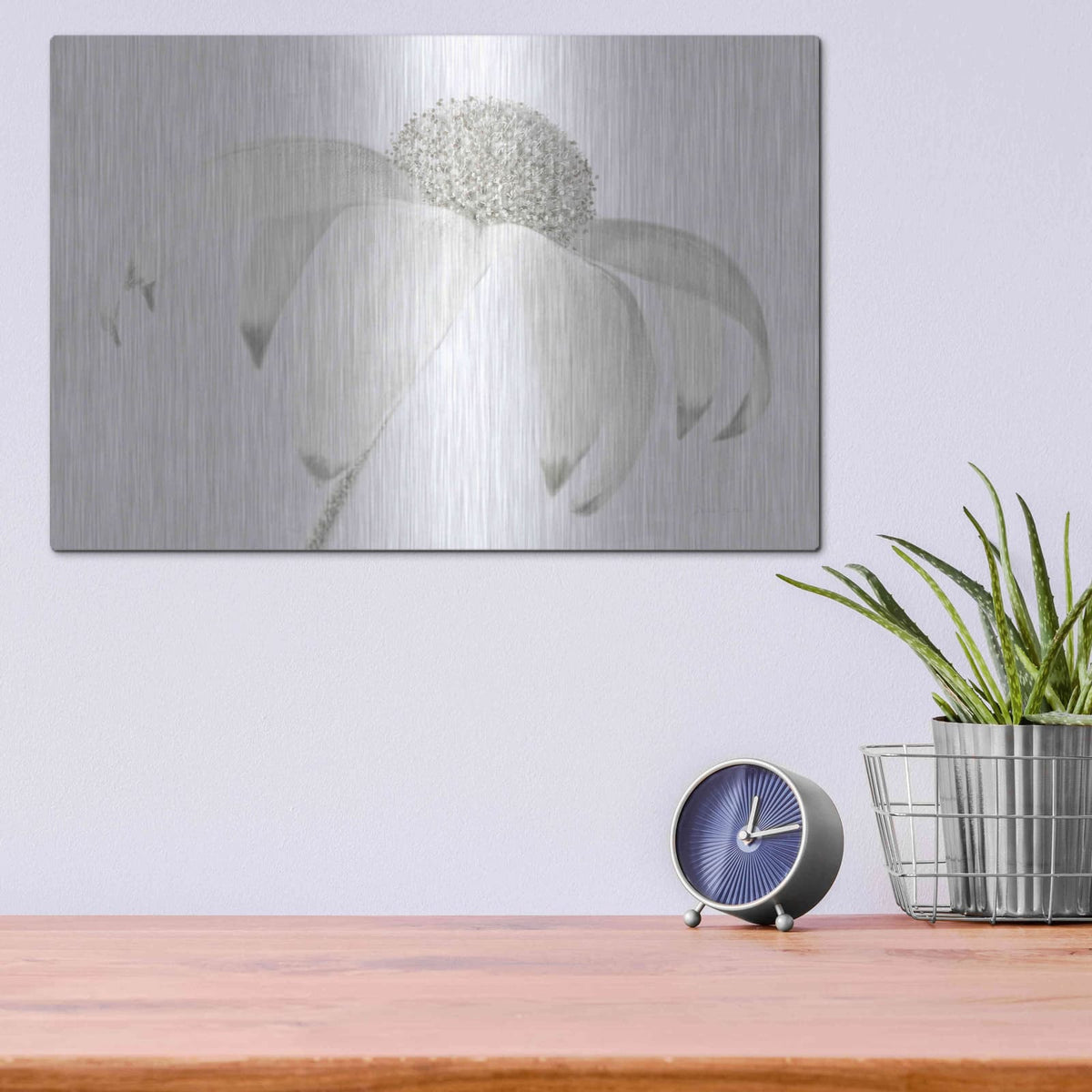 'Flannel Flower Neutral' by Elise Catterall – Metal Wall Art, 16x12 room view