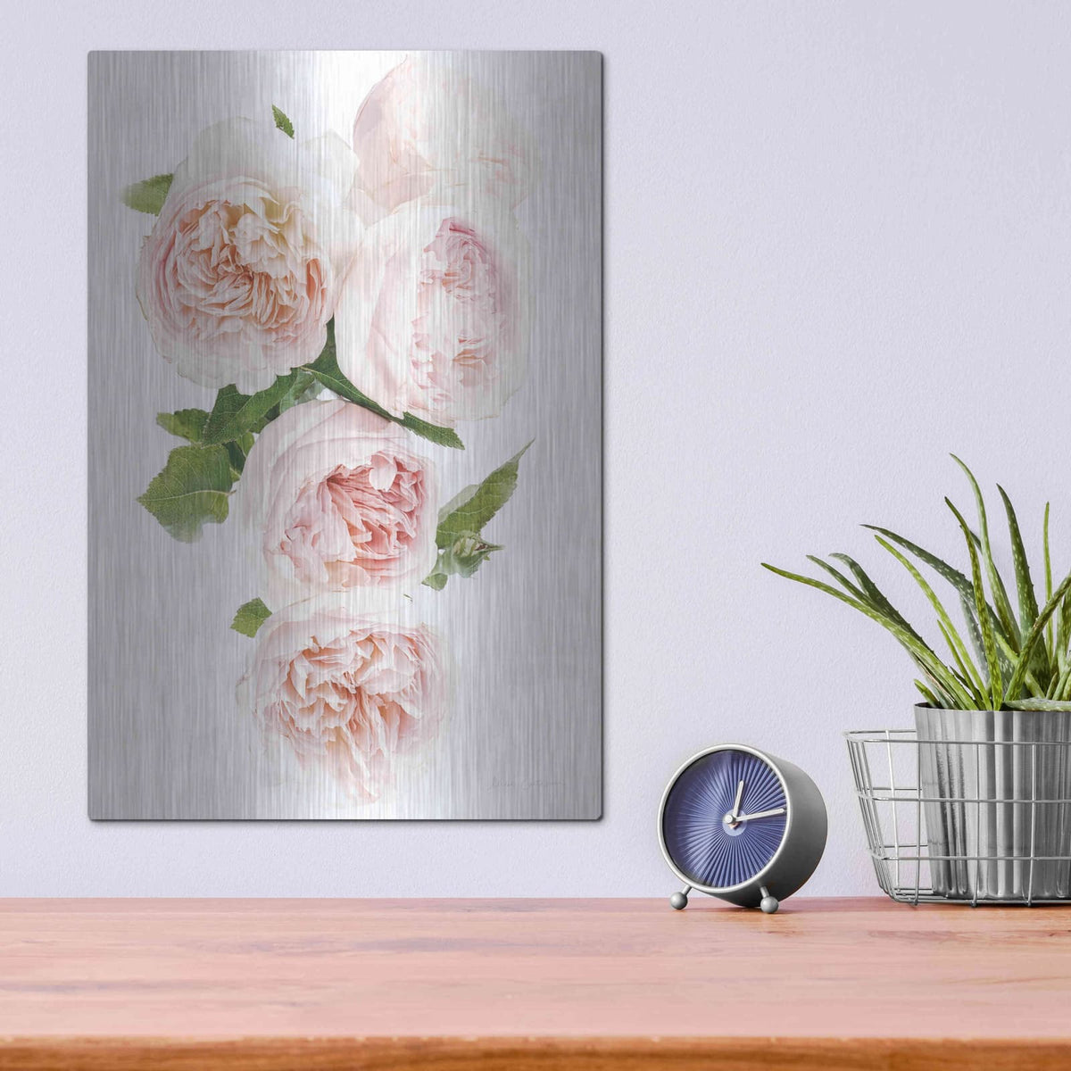 'David Austin Cascade' by Elise Catterall – Metal Wall Art, 12x16 room view