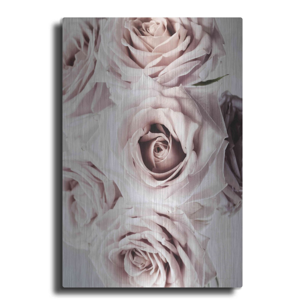'Dusty Rose Cluster' by Elise Catterall – Metal Wall Art