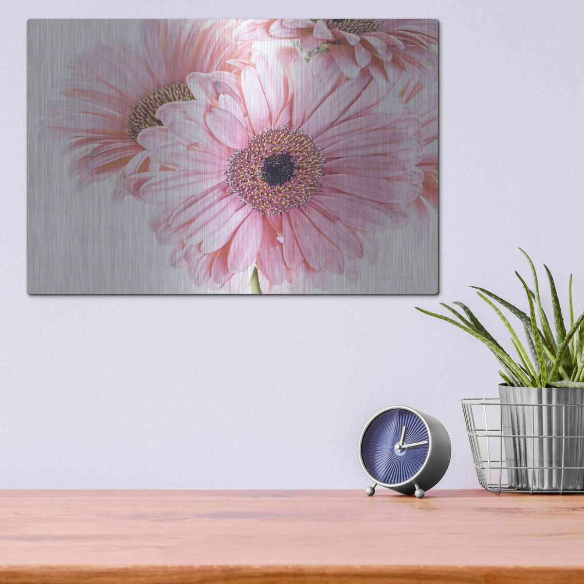 'Pastel Gerbera Daisies' by Elise Catterall – Metal Wall Art, 16x12 room view