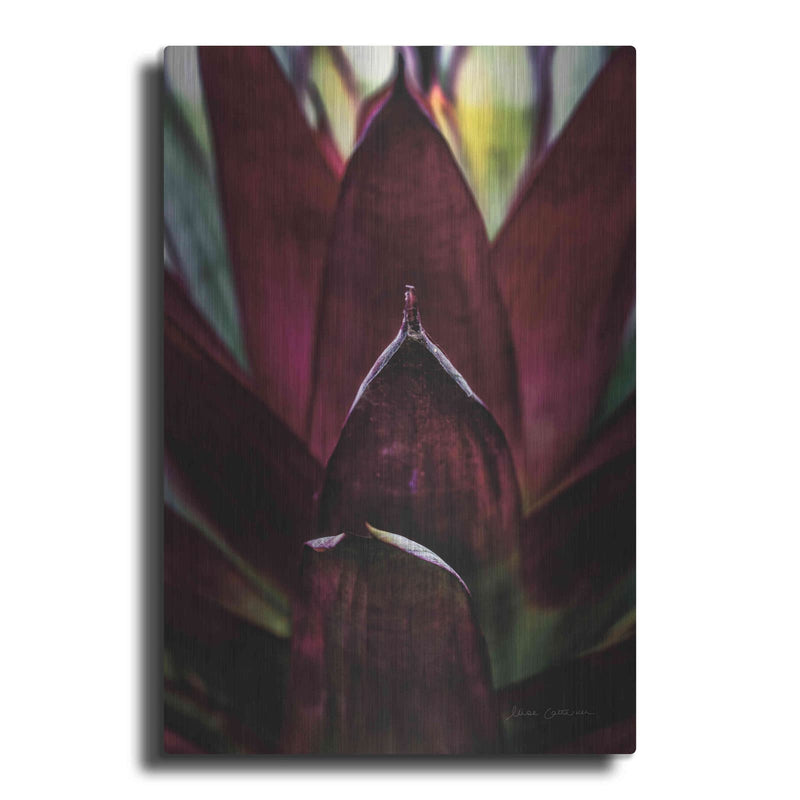 'Succulent Detail I' by Elise Catterall – Metal Wall Art