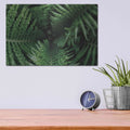 'Fern Detail' by Elise Catterall – Metal Wall Art, 16x12 room view