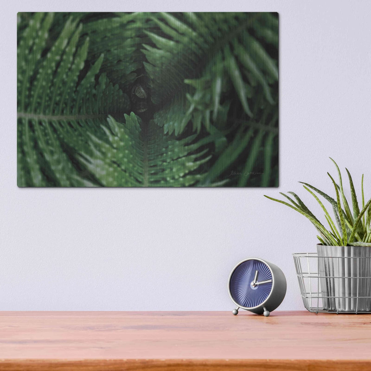 'Fern Detail' by Elise Catterall – Metal Wall Art, 16x12 room view