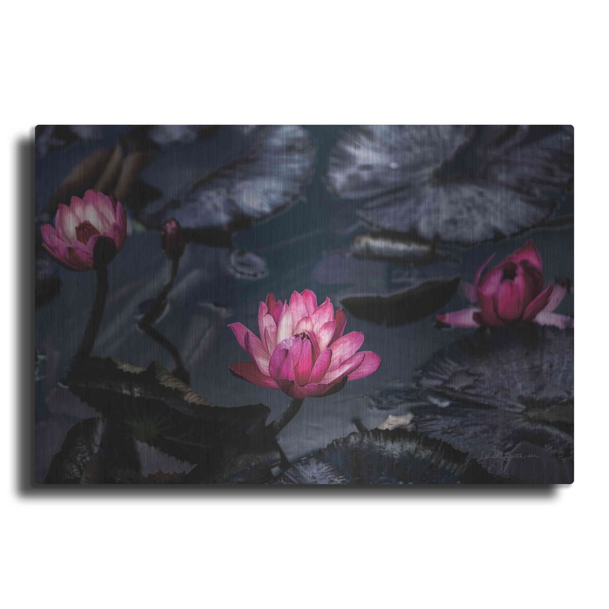 'Waterlilies' by Elise Catterall – Metal Wall Art