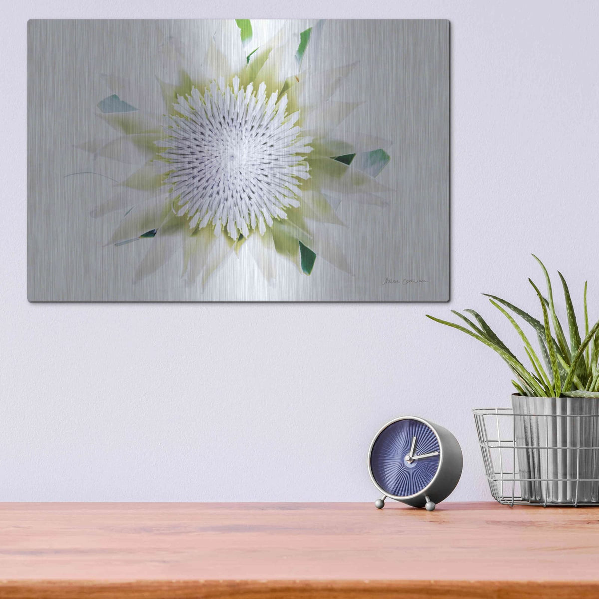 'Protea Center I' by Elise Catterall – Metal Wall Art, 16x12 room view