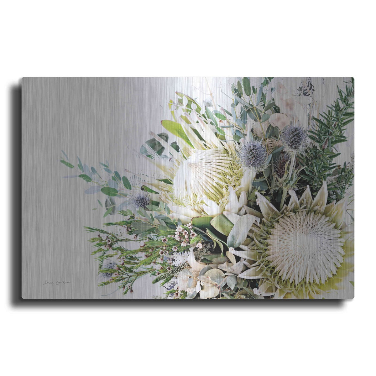 'Protea Bouquet I' by Elise Catterall – Metal Wall Art