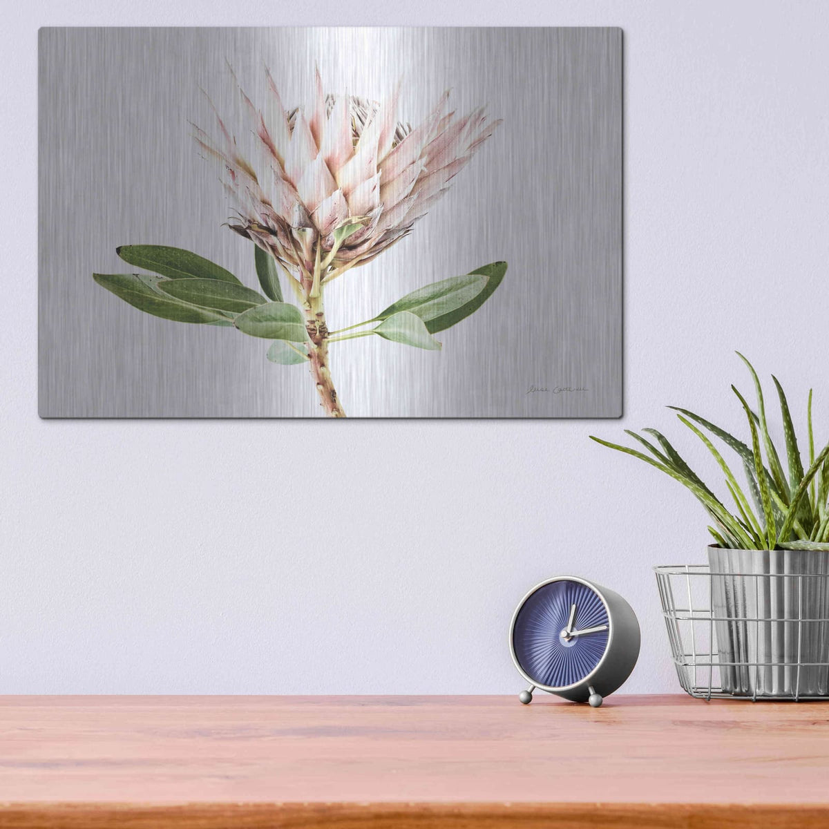 'Pastel Protea II' by Elise Catterall – Metal Wall Art, 16x12 room view