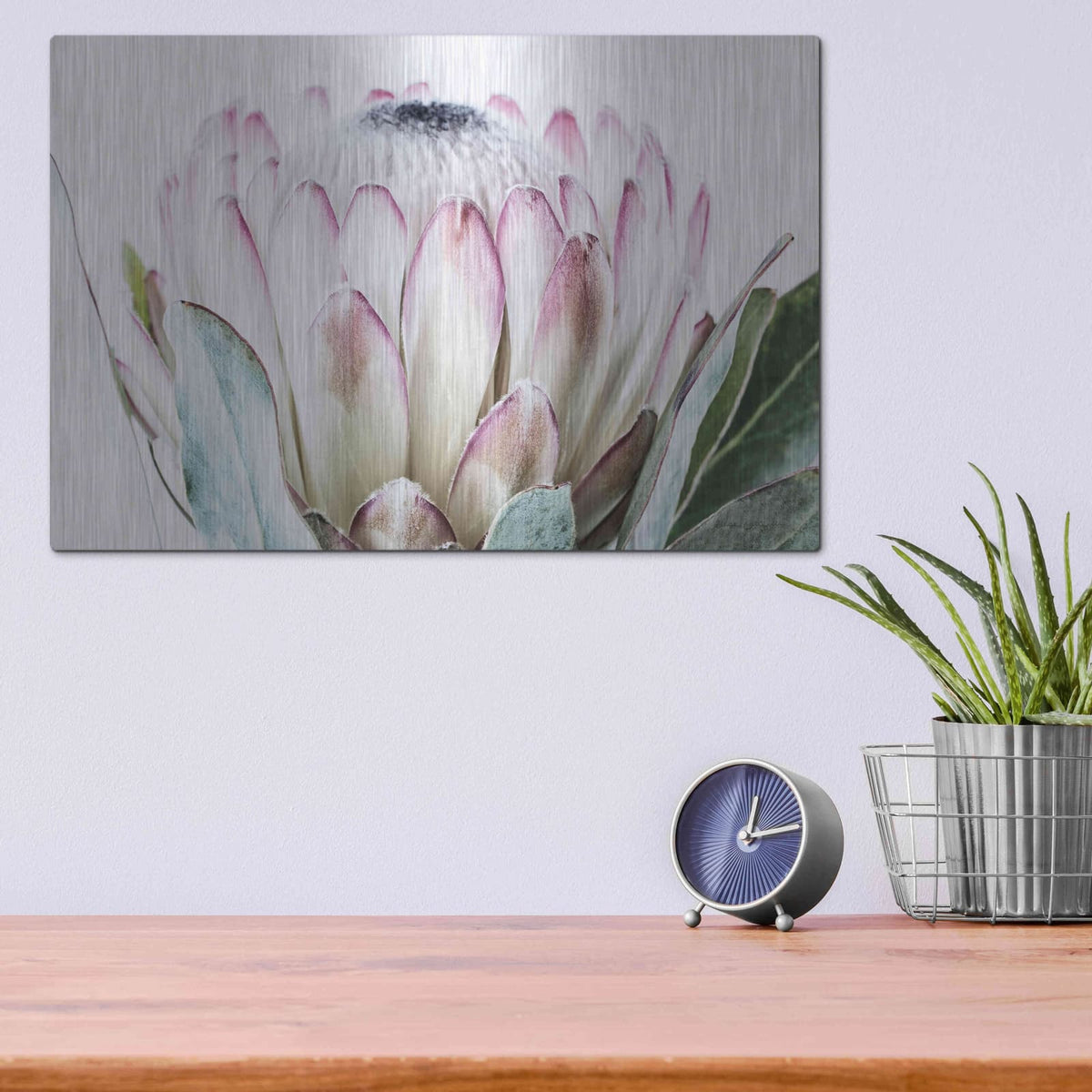 'Pale Protea Detail I' by Elise Catterall – Metal Wall Art, 16x12 room view