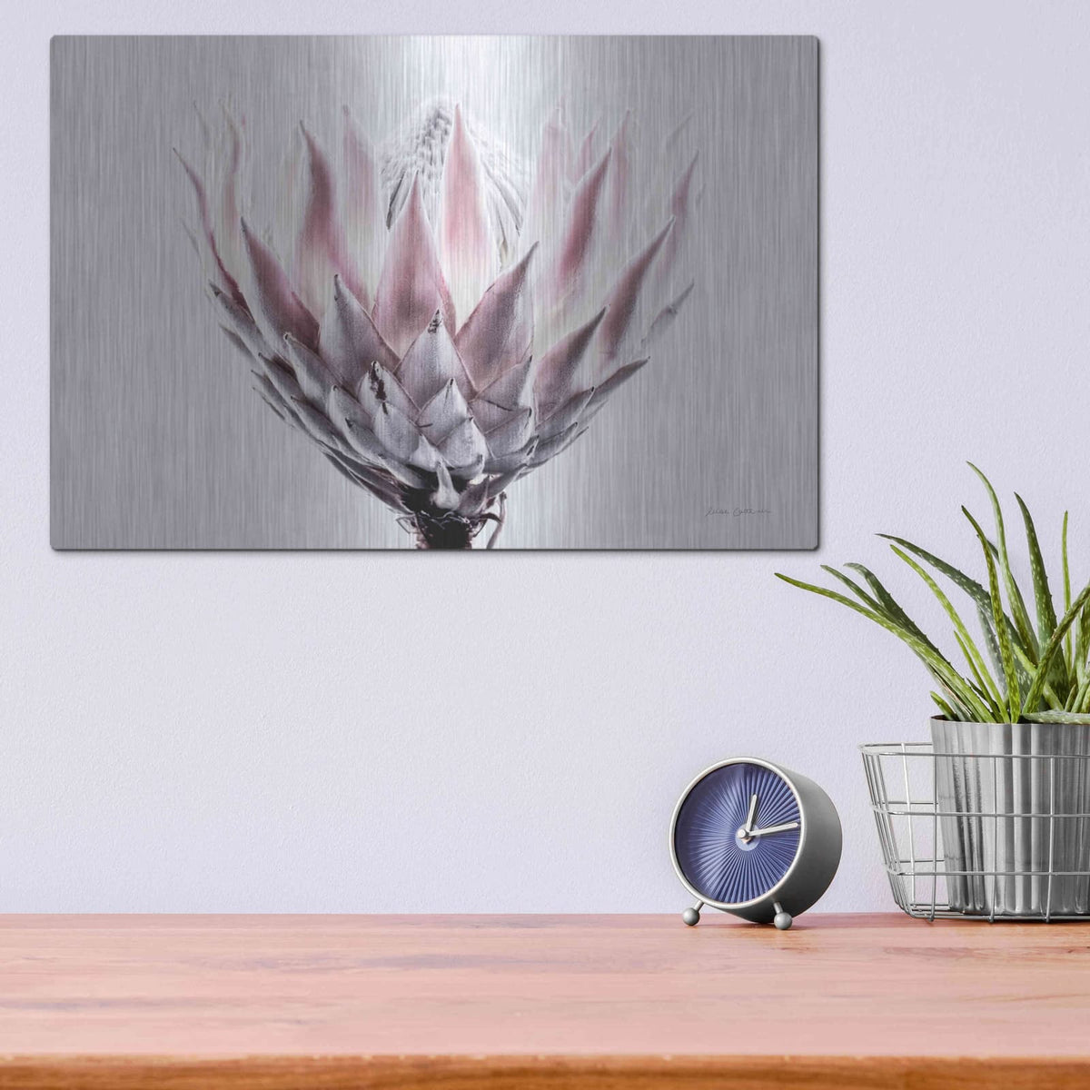 'Pale Protea Detail II' by Elise Catterall – Metal Wall Art, 16x12 room view