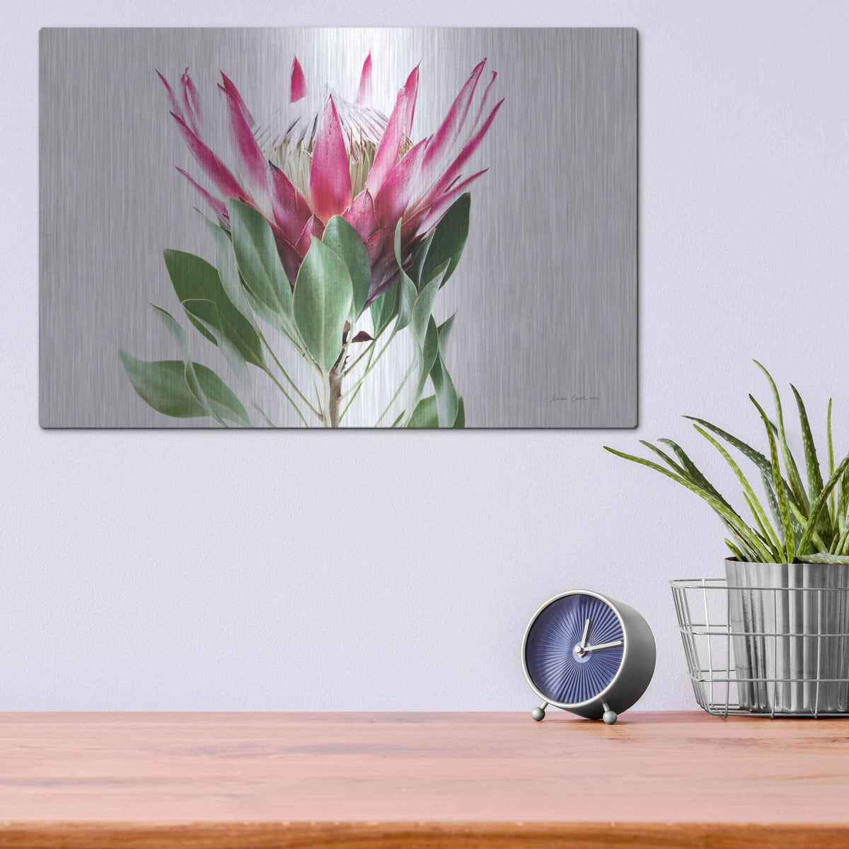 'Bold Protea I' by Elise Catterall – Metal Wall Art, 16x12 room view