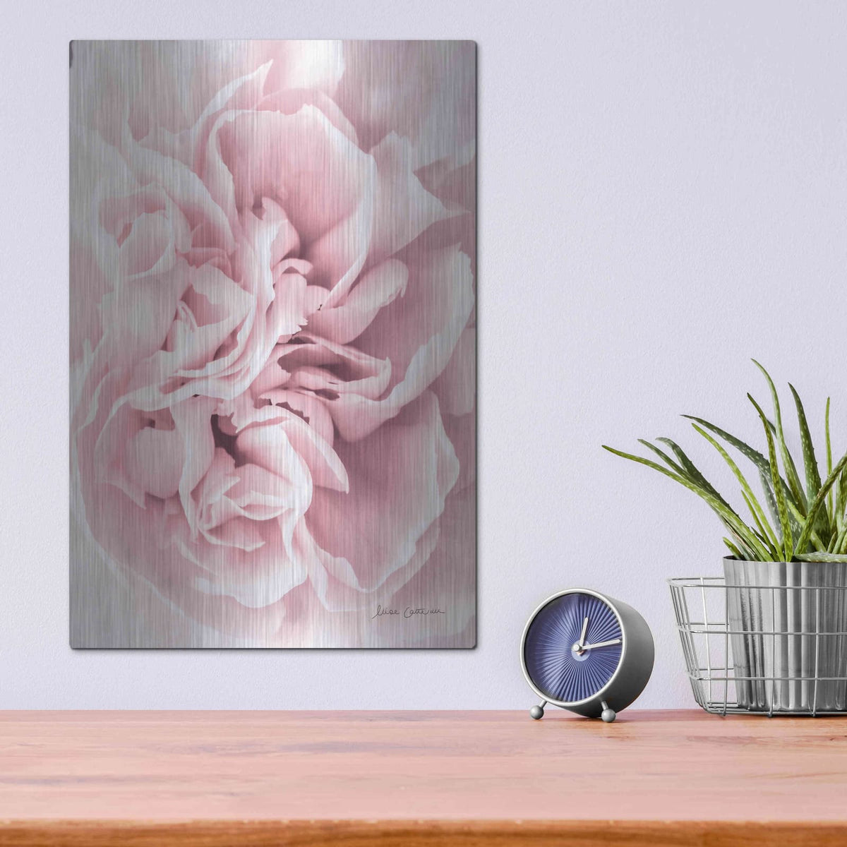 'Pink Carnation Crop' by Elise Catterall – Metal Wall Art, 12x16 room view