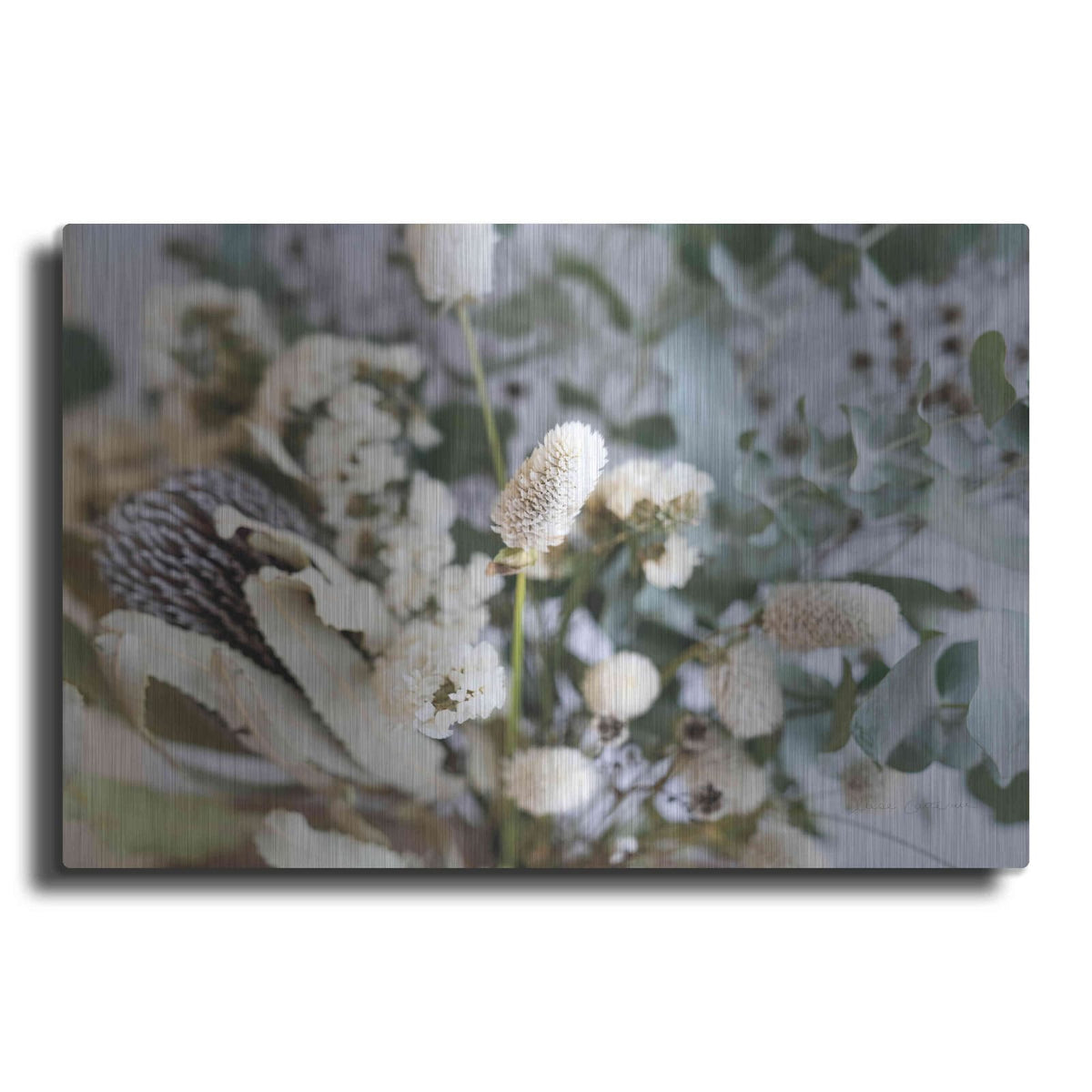 'Eucalyptus Arrangement Detail I' by Elise Catterall – Metal Wall Art