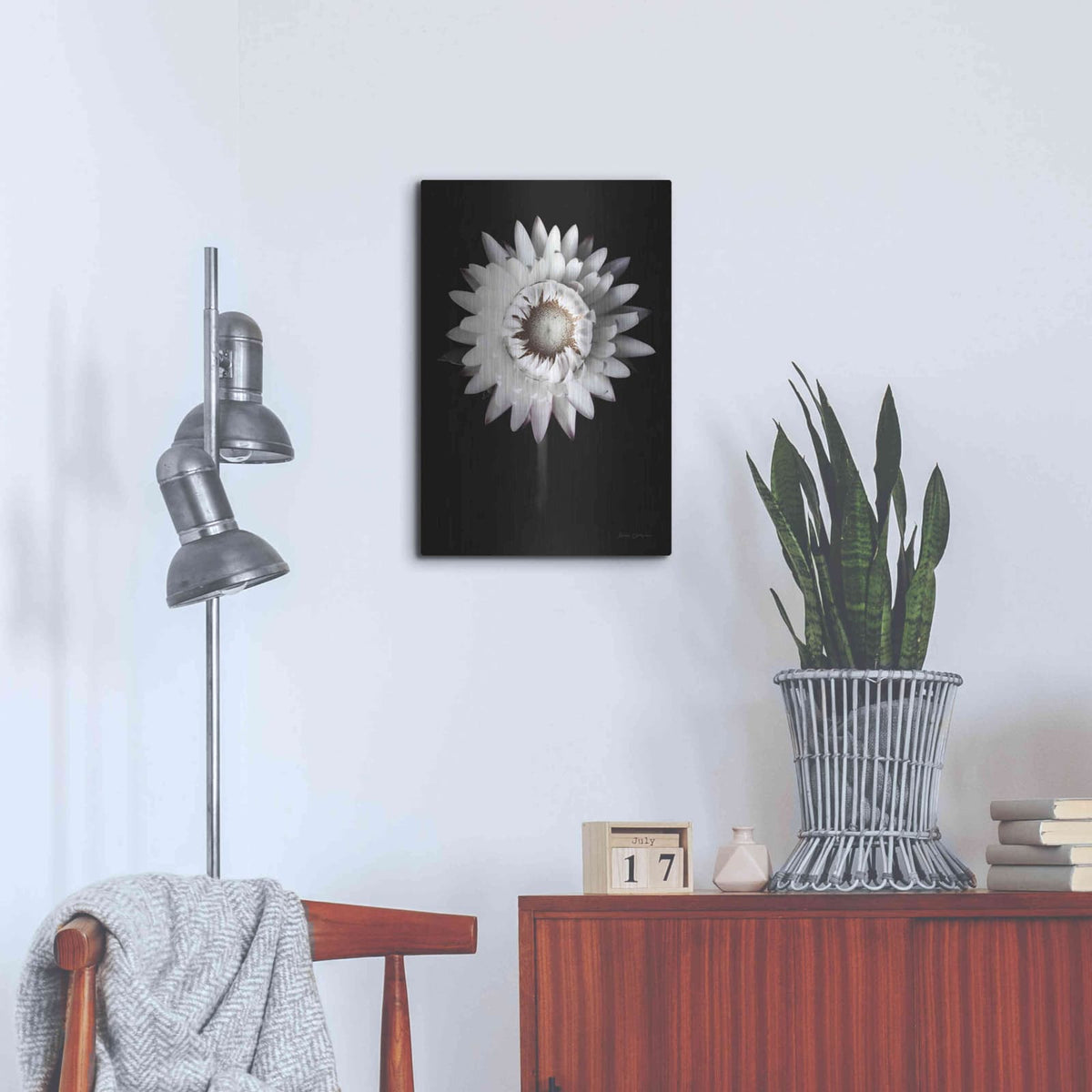 'Dramatic Dahlia' by Elise Catterall – Metal Wall Art, 16x24 room view