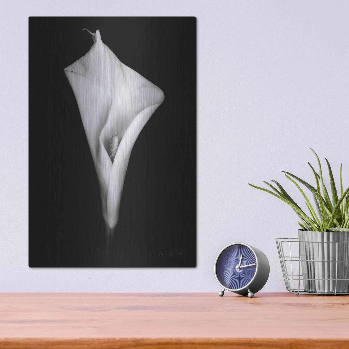 'Elegant Calla I' by Elise Catterall – Metal Wall Art, 12x16 room view