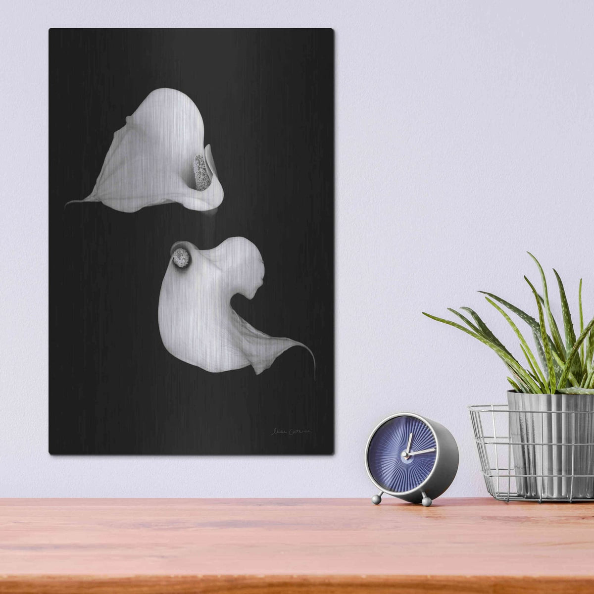 'Elegant Calla II' by Elise Catterall – Metal Wall Art, 12x16 room view