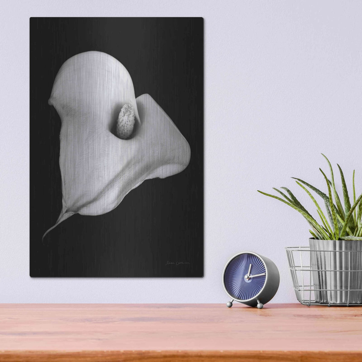 'Elegant Calla III' by Elise Catterall – Metal Wall Art, 12x16 room view
