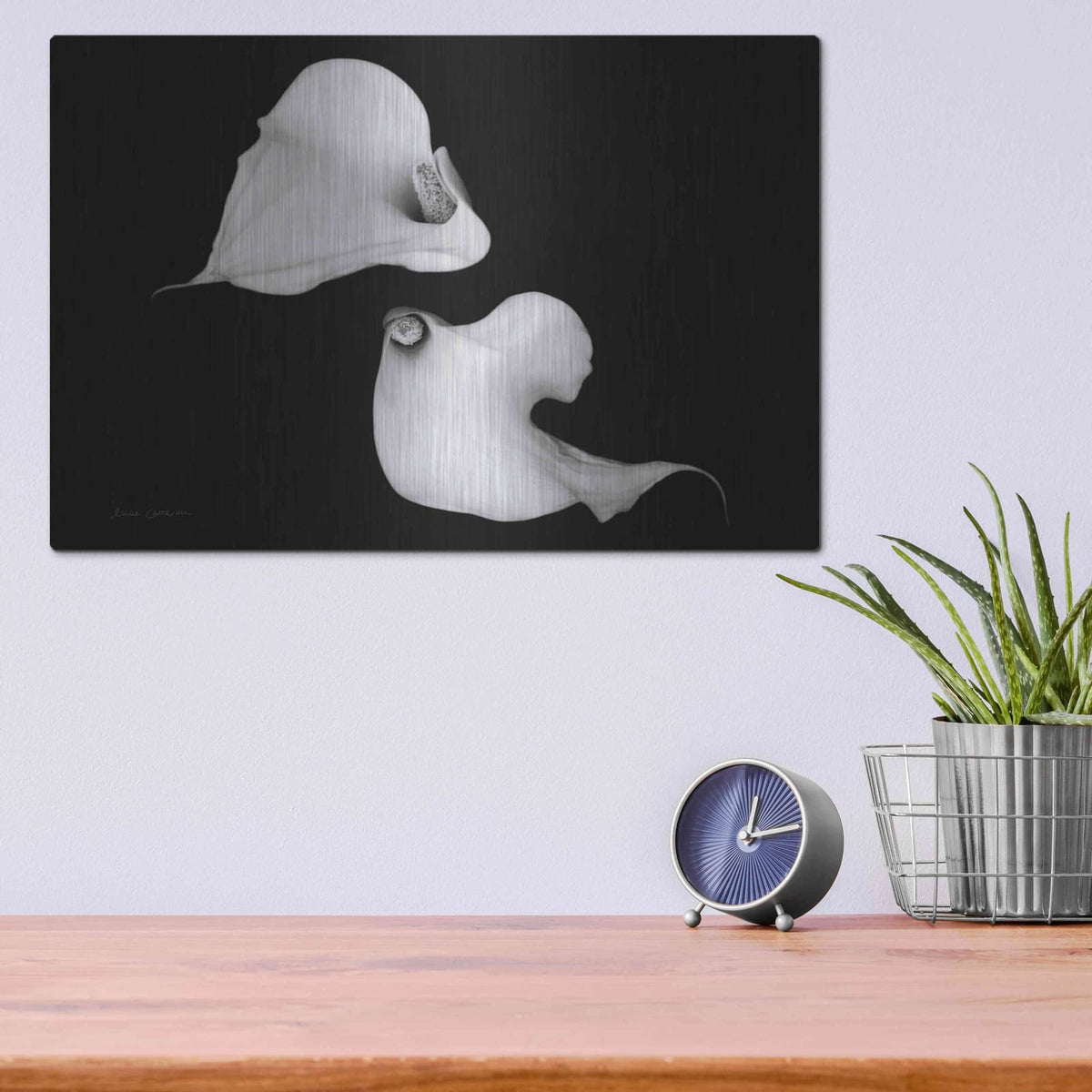 'Elegant Calla IV' by Elise Catterall – Metal Wall Art, 16x12 room view