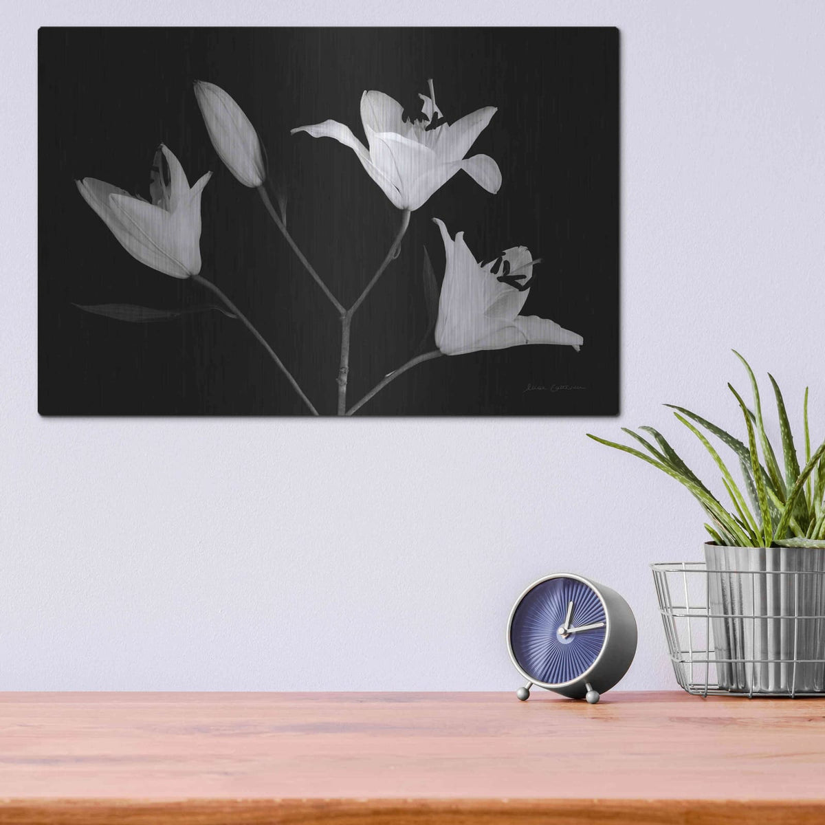 'Spray of Lilies' by Elise Catterall – Metal Wall Art, 16x12 room view