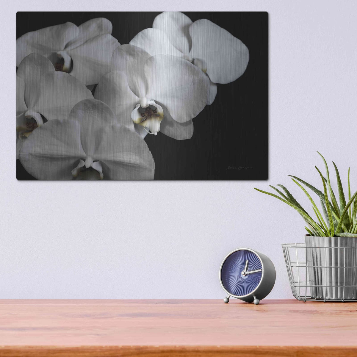 'White Orchid II' by Elise Catterall – Metal Wall Art, 16x12 room view
