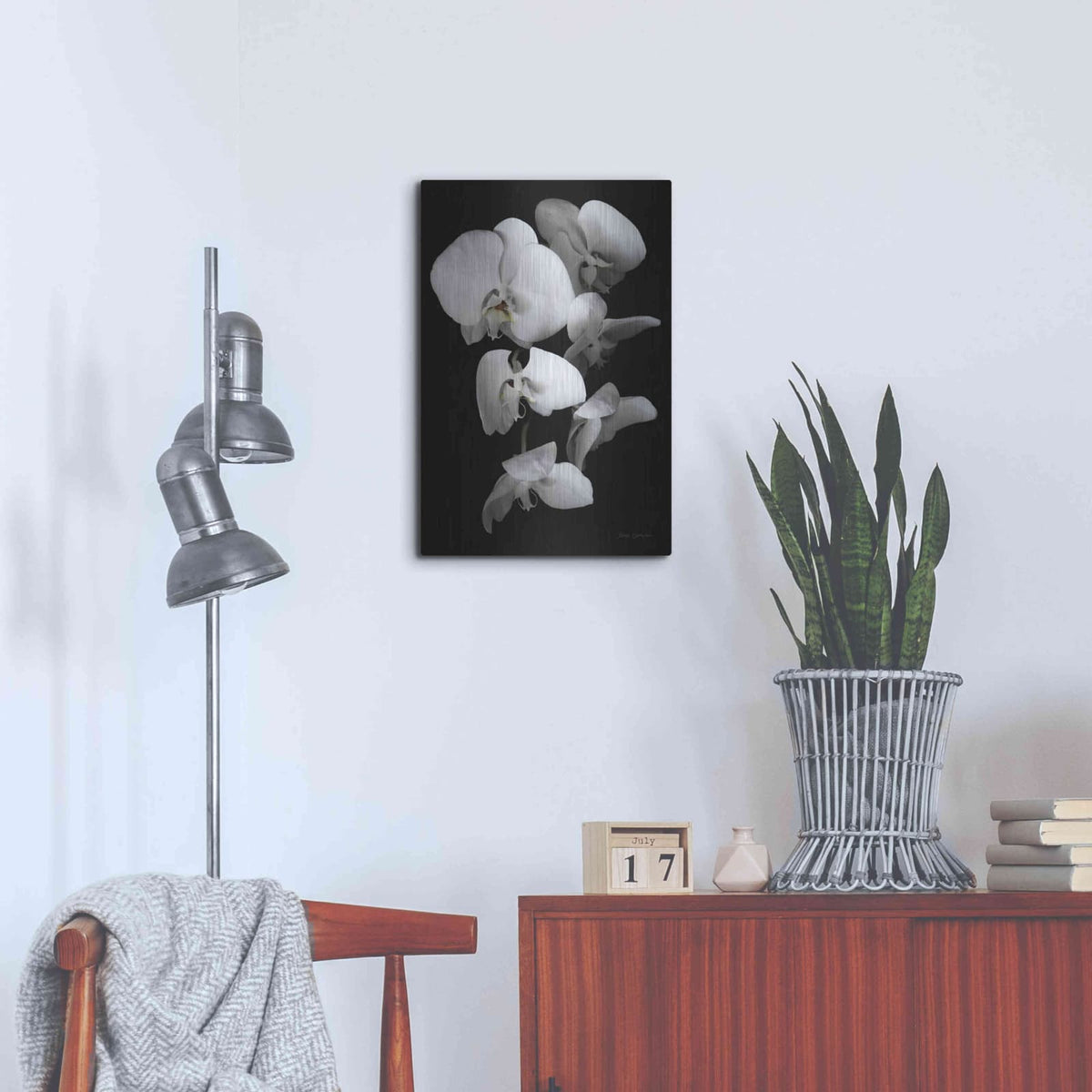 'White Orchid III' by Elise Catterall – Metal Wall Art, 16x24 room view
