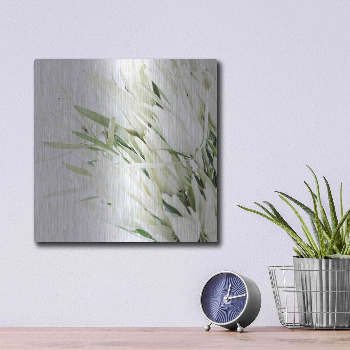 'Leucadendron Oasis Crop' by Elise Catterall – Metal Wall Art, 12x12 room view