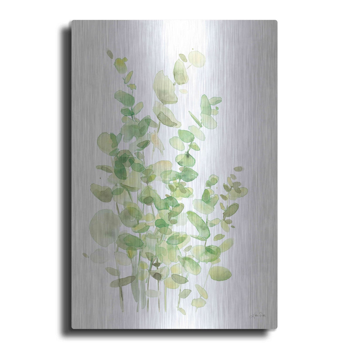 'Eucalyptus III' by Katrina Pete – Metal Wall Art