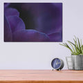 'Midnight Petals' by NASA Space Photos – Metal Wall Art, 16x12 room view