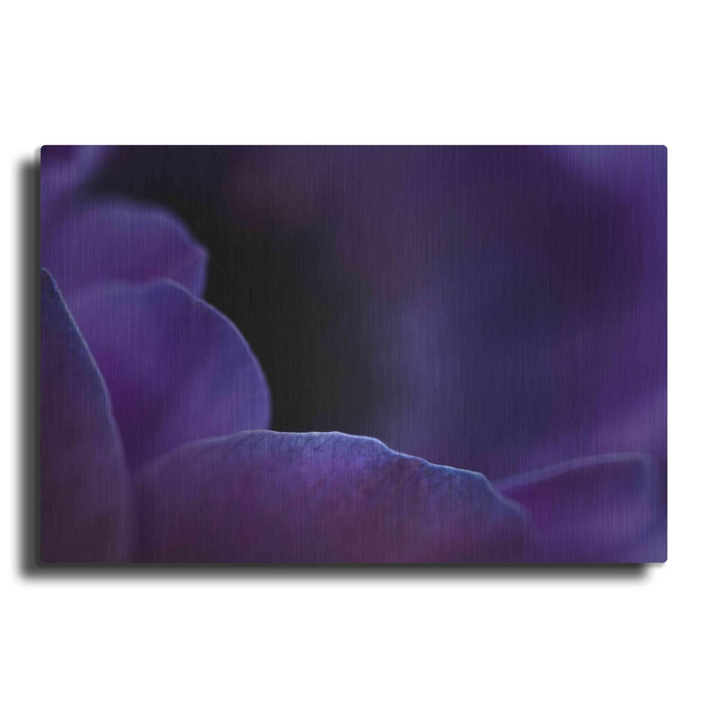 'Midnight Petals' by NASA Space Photos – Metal Wall Art