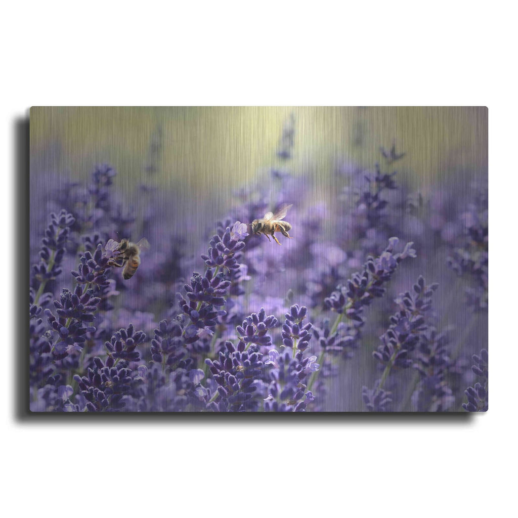 'Lavender Honey' by NASA Space Photos – Metal Wall Art