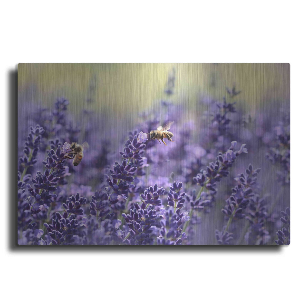'Lavender Honey' by NASA Space Photos – Metal Wall Art