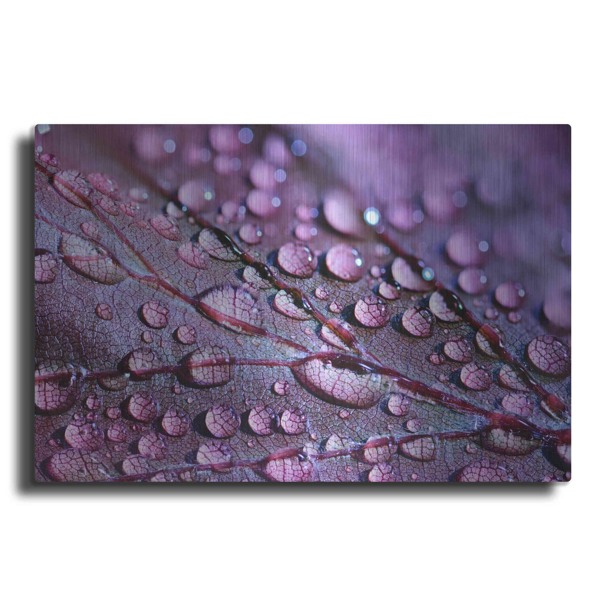 'Dewdrops' by NASA Space Photos – Metal Wall Art