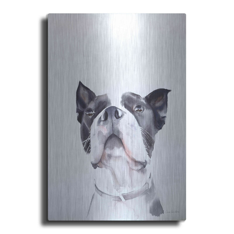 'Bird Watching' by Aimee Del Valle – Metal Wall Art