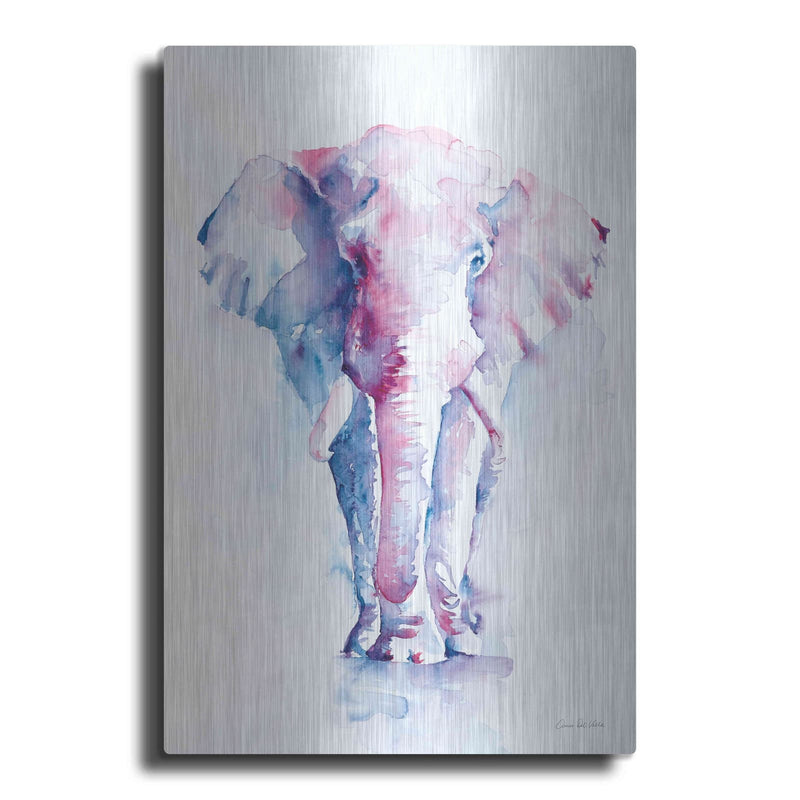 'An Elephant Never Forgets' by Alan Majchrowicz – Metal Wall Art