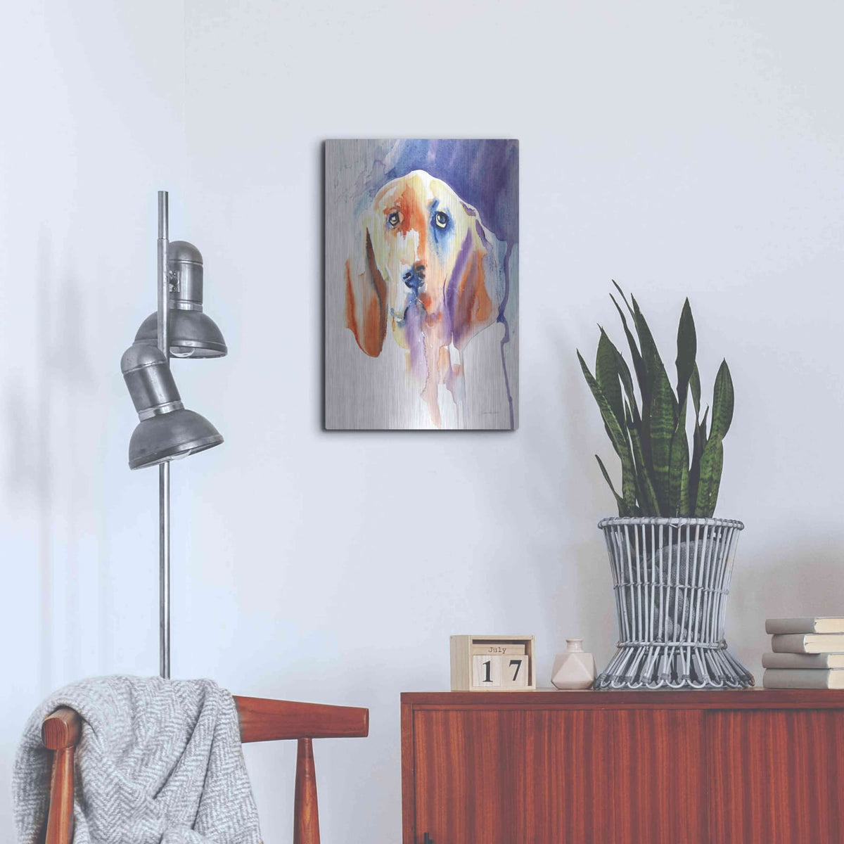 'Basset Hound' by Alan Majchrowicz – Metal Wall Art, 16x24 room view