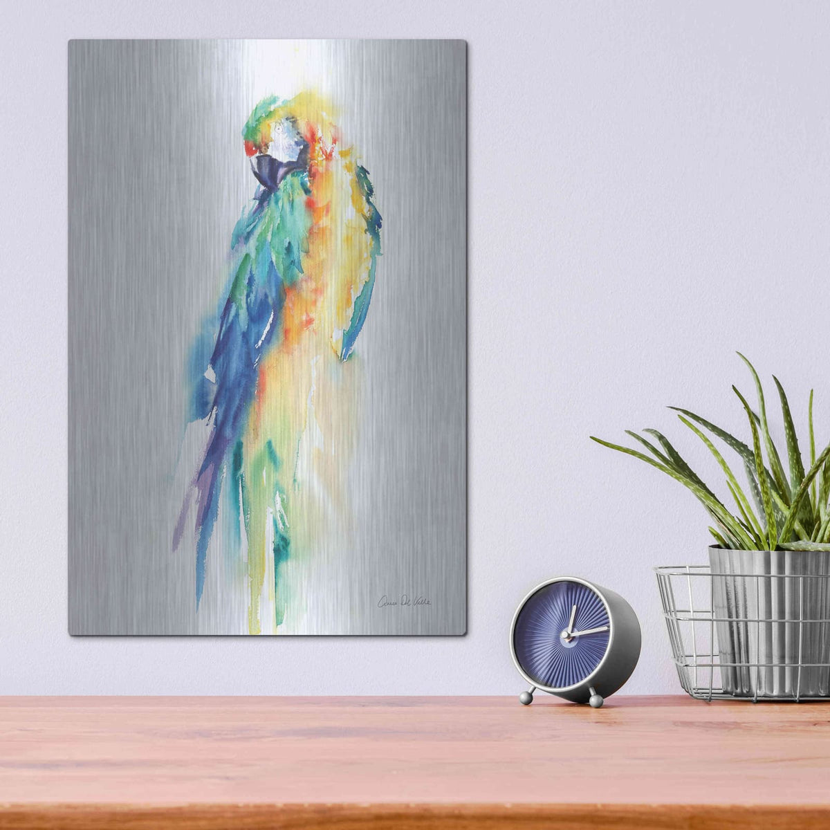'Colorful Parrots II' by Alan Majchrowicz – Metal Wall Art, 12x16 room view