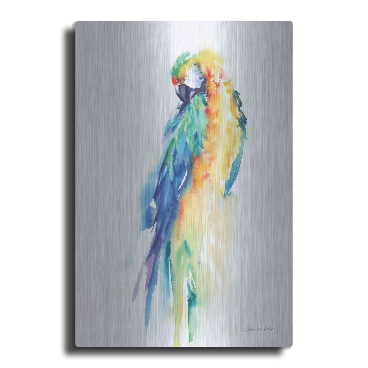 'Colorful Parrots II' by Alan Majchrowicz – Metal Wall Art