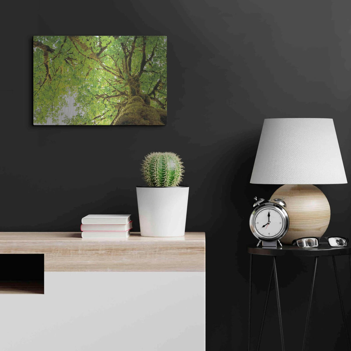 'Big Leaf Maple Trees II' by Alan Majchrowicz – Metal Wall Art, 24x16 room view