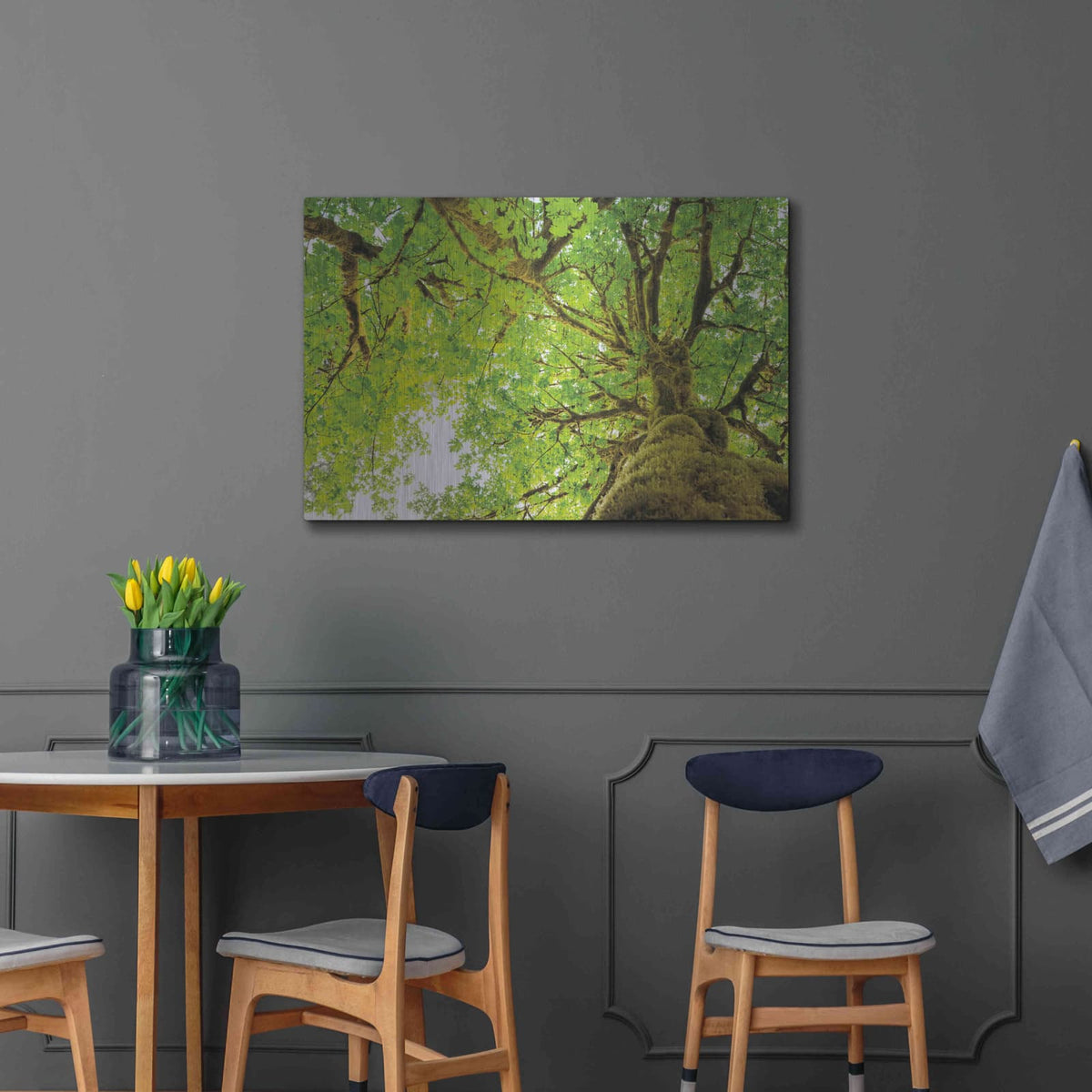 'Big Leaf Maple Trees II' by Alan Majchrowicz – Metal Wall Art, 36x24 room view