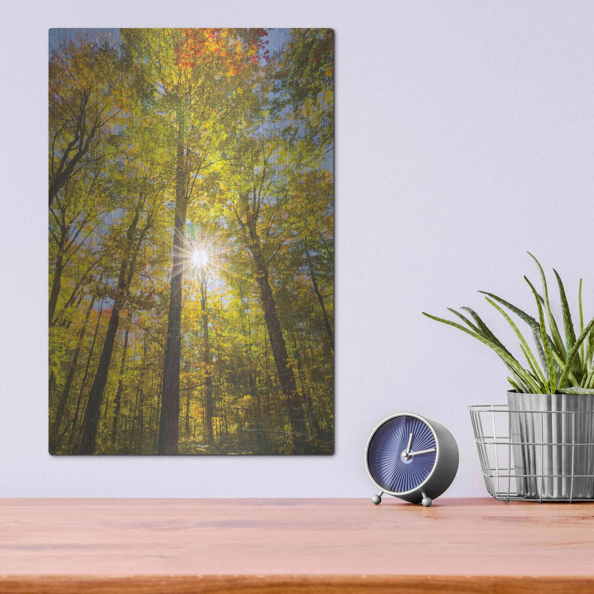 'Autumn Foliage Sunburst III' by Alan Majchrowicz – Metal Wall Art, 12x16 room view