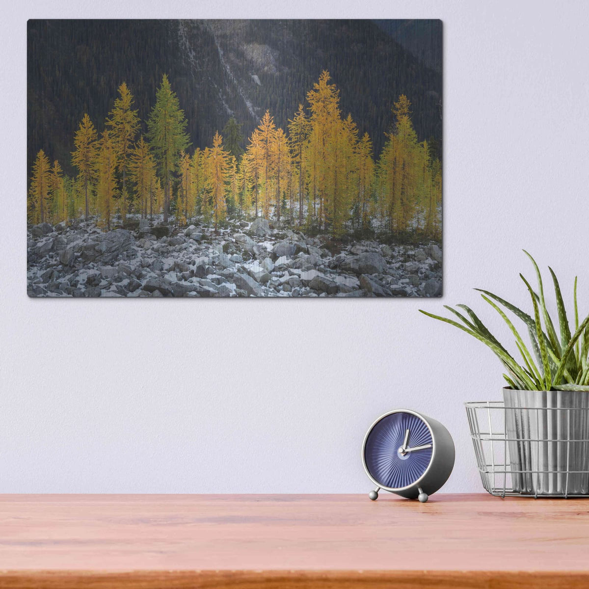 'Alpine Larches North Cascades' by Alan Majchrowicz – Metal Wall Art, 16x12 room view