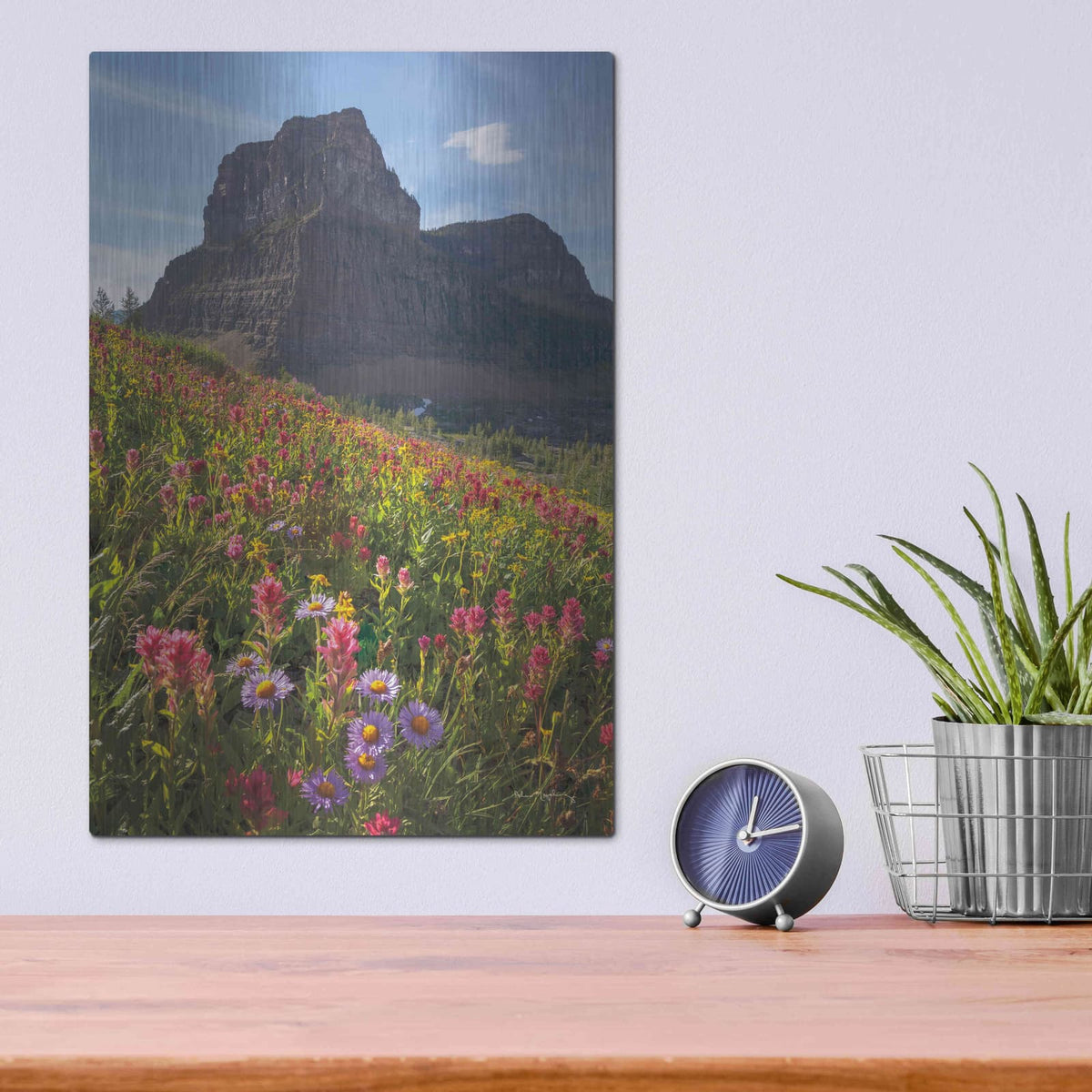 'Boulder Pass Wildflowers' by Alan Majchrowicz – Metal Wall Art, 12x16 room view