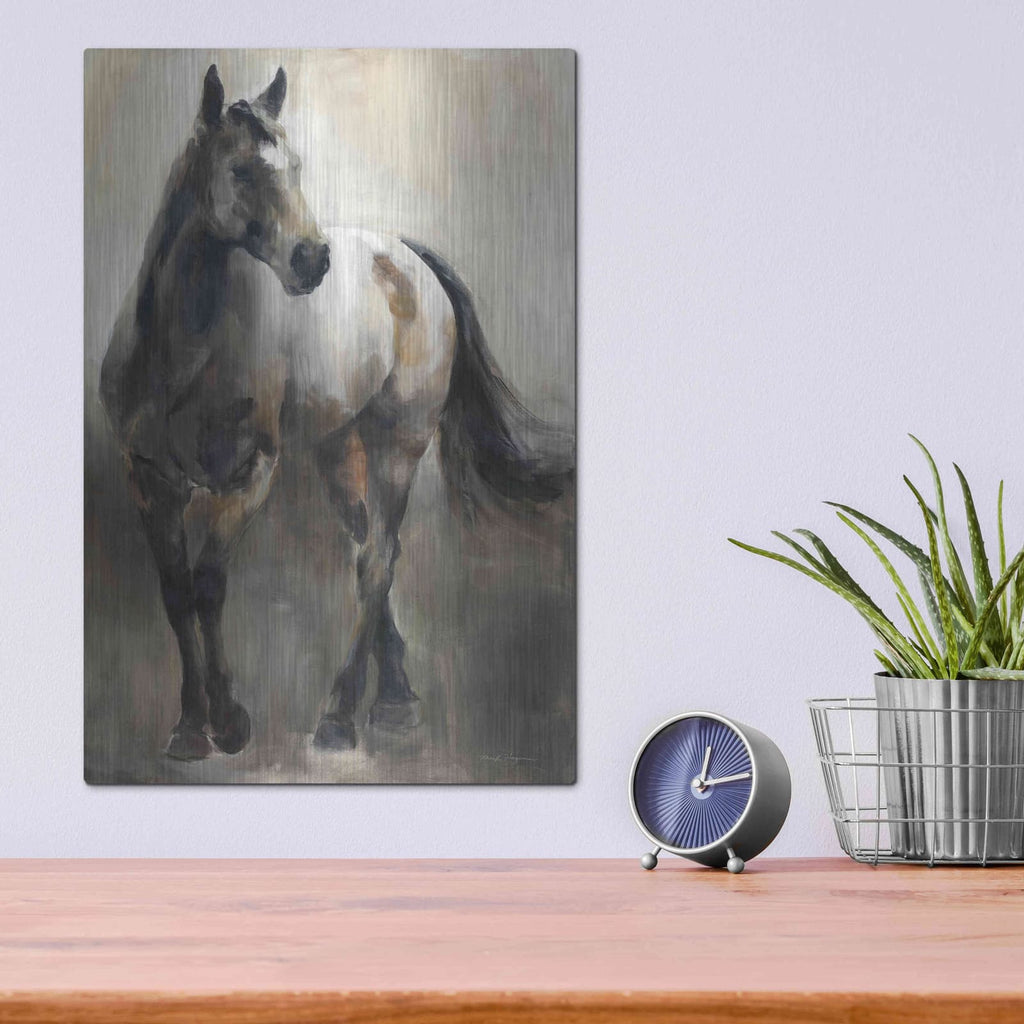 'Copper and Nickel' by Marilyn Borglum – Metal Wall Art, 12x16 room view