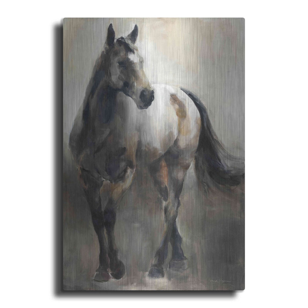 'Copper and Nickel' by Marilyn Borglum – Metal Wall Art
