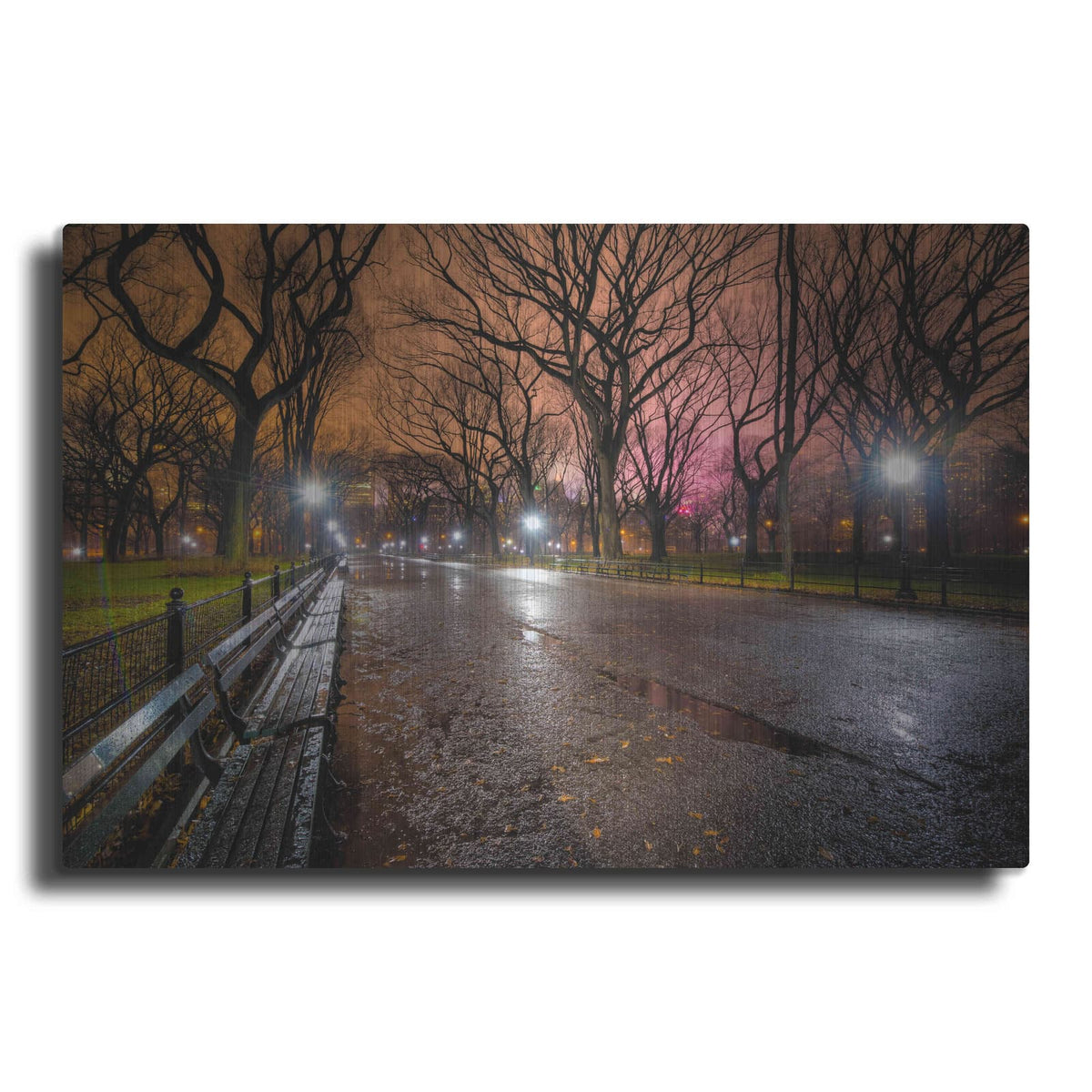 'The Crying Park' by Edin Chavez – Metal Wall Art