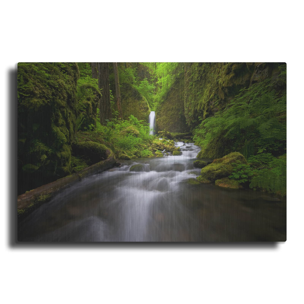 'Lushness' by Jesse Estes – Metal Wall Art