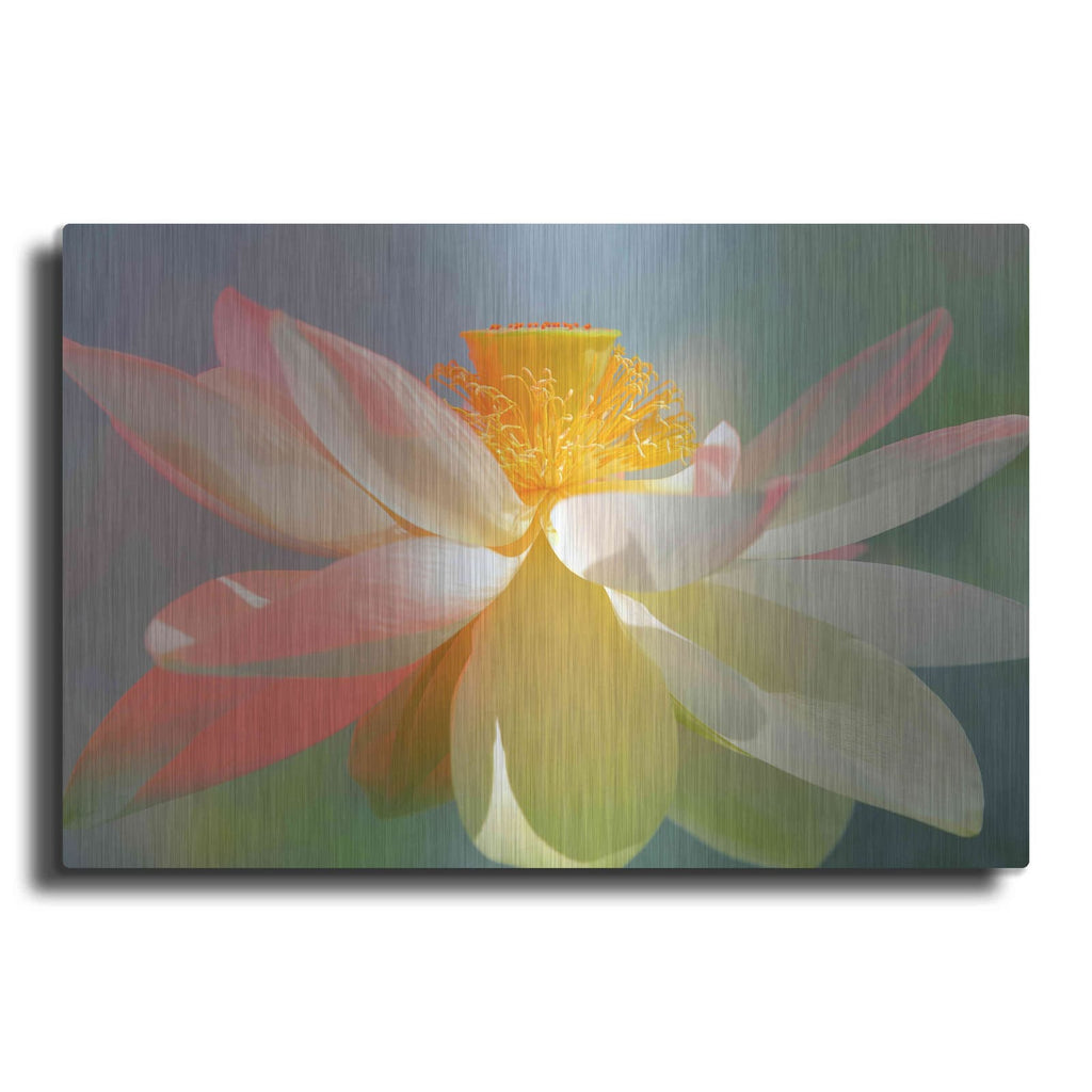 'Dancing Queen' by Bahman Farzad – Metal Wall Art