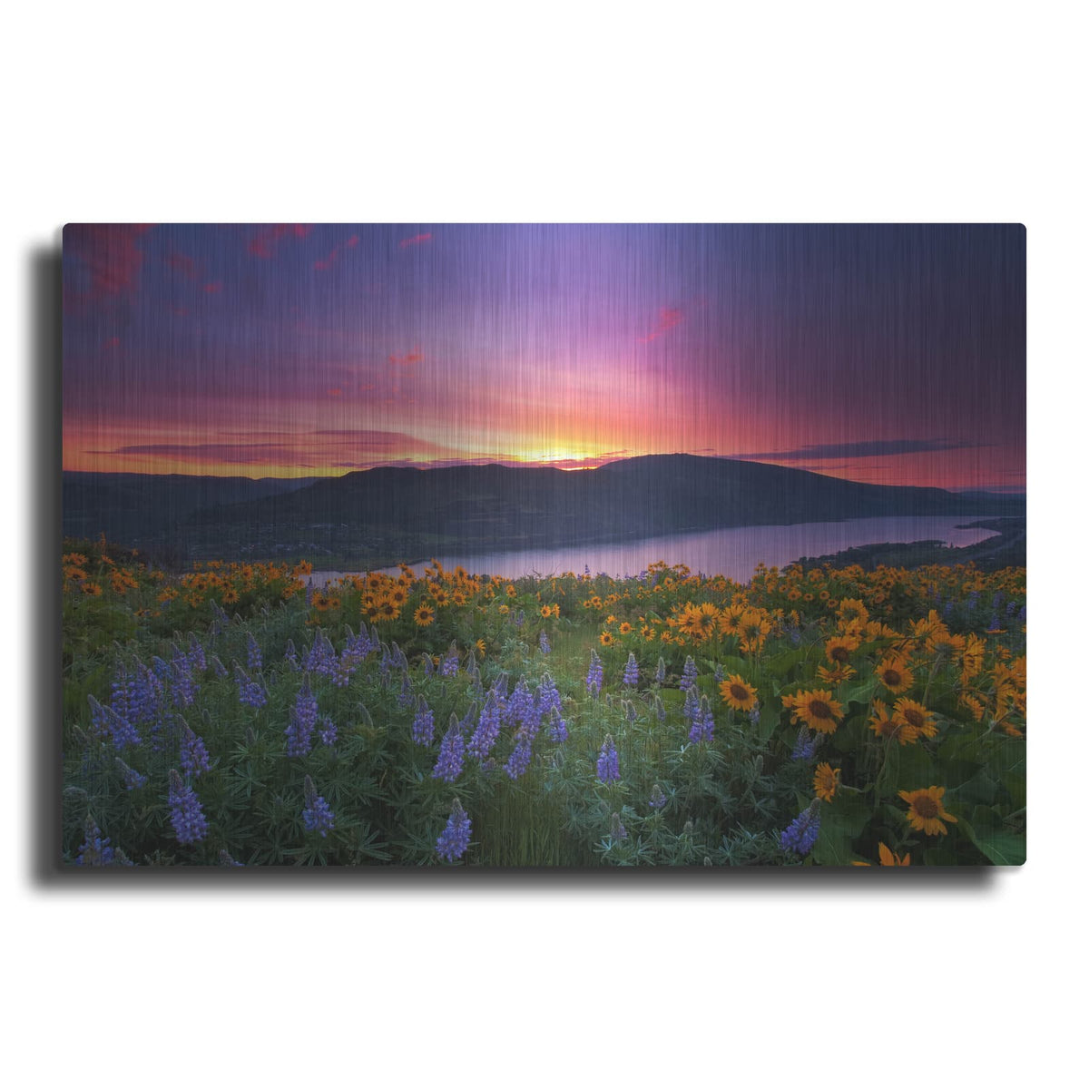 'Paradise Garden' by Jesse Estes – Metal Wall Art