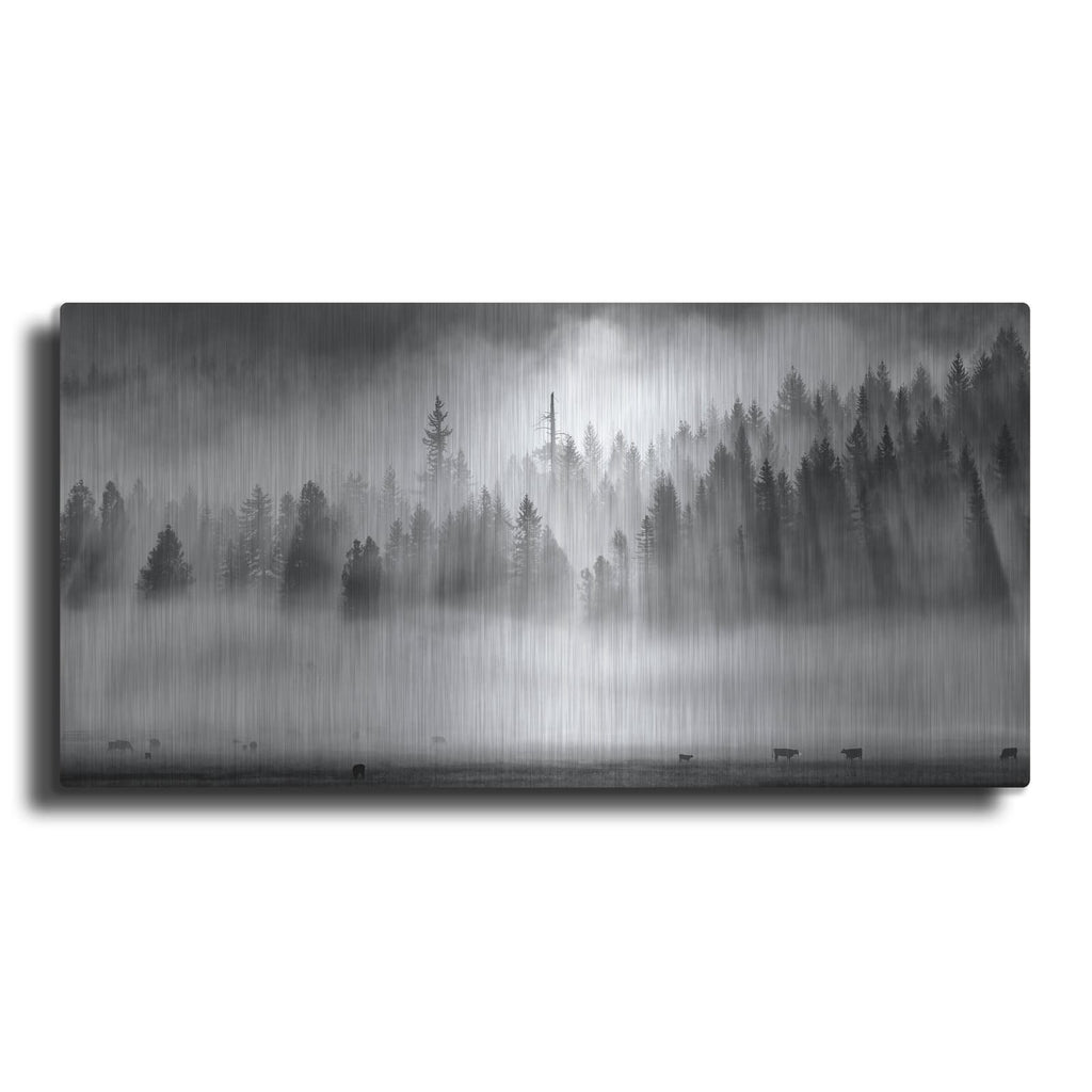 'Roaming In The Mist' by Jesse Estes – Metal Wall Art