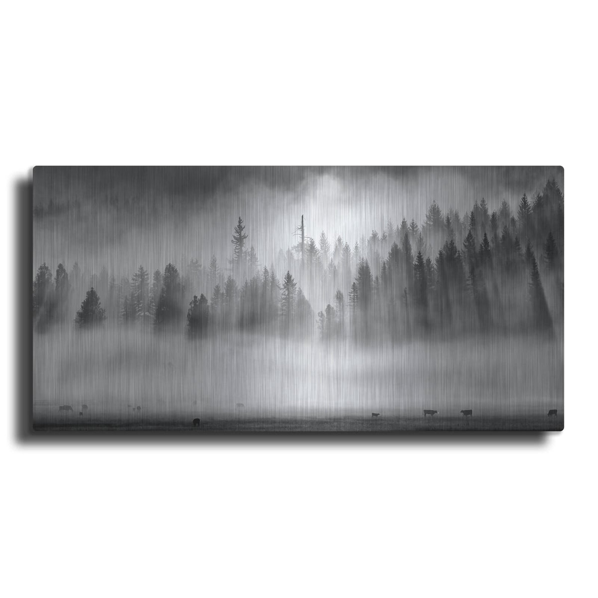 'Roaming In The Mist' by Jesse Estes – Metal Wall Art