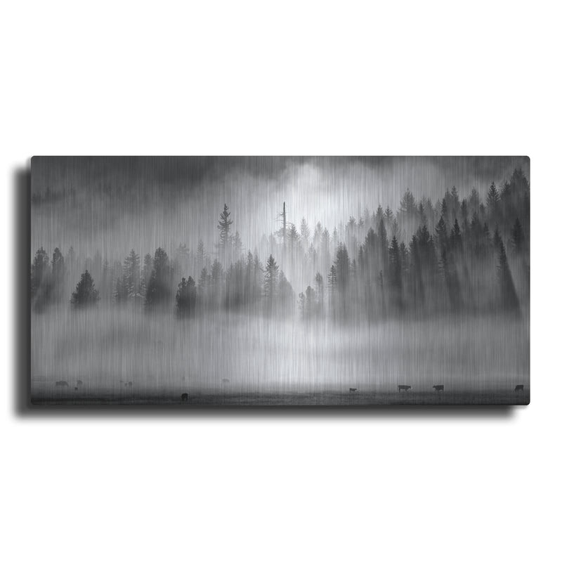 'Roaming In The Mist' by Jesse Estes – Metal Wall Art